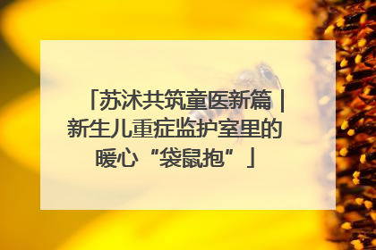 苏沭共筑童医新篇｜新生儿重症监护室里的暖心“袋鼠抱”
