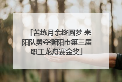 苦练月余终圆梦 耒阳队勇夺衡阳市第三届职工龙舟赛金奖