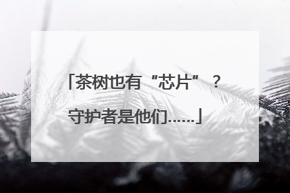 茶树也有“芯片”？守护者是他们……
