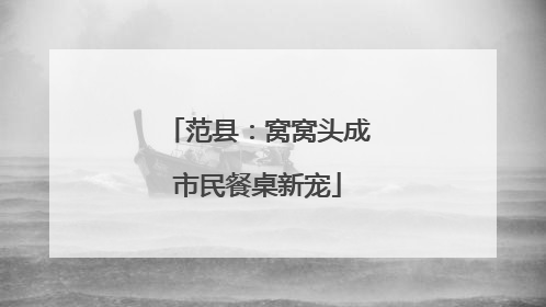 范县：窝窝头成市民餐桌新宠