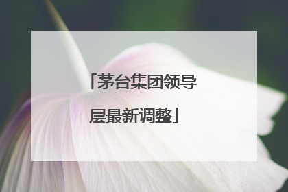 茅台集团领导层最新调整