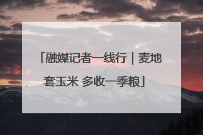 融媒记者一线行｜麦地套玉米 多收一季粮