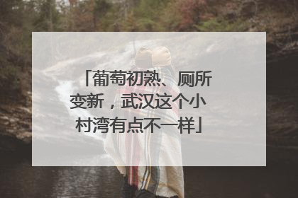 葡萄初熟、厕所变新，武汉这个小村湾有点不一样