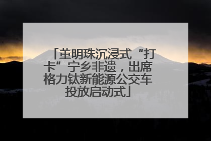 董明珠沉浸式“打卡”宁乡非遗，出席格力钛新能源公交车投放启动式