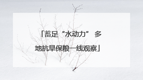 蓄足“水动力” 多地抗旱保粮一线观察