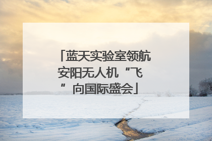 蓝天实验室领航 安阳无人机“飞”向国际盛会