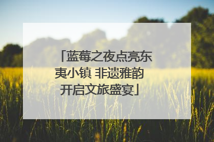 蓝莓之夜点亮东夷小镇 非遗雅韵开启文旅盛宴