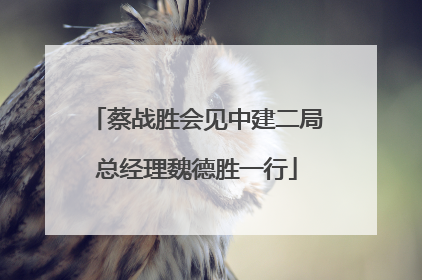蔡战胜会见中建二局总经理魏德胜一行