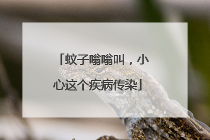 蚊子嗡嗡叫，小心这个疾病传染