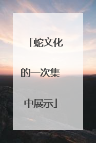 蛇文化的一次集中展示