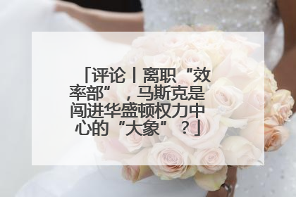 评论丨离职“效率部”，马斯克是闯进华盛顿权力中心的“大象”？
