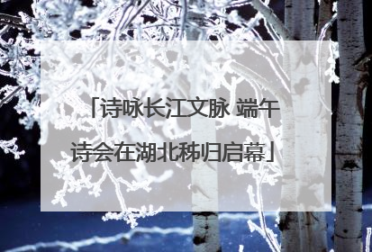 诗咏长江文脉 端午诗会在湖北秭归启幕