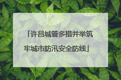 许昌城管多措并举筑牢城市防汛安全防线