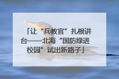 让“兵教官”扎根讲台——北海“国防绿进校园”试出新路子