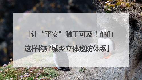 让“平安”触手可及！他们这样构建城乡立体巡防体系