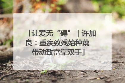 让爱无“碍”｜许加良：重疾致残始种藕 带动致富靠双手