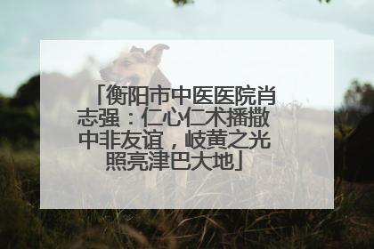 衡阳市中医医院肖志强：仁心仁术播撒中非友谊，岐黄之光照亮津巴大地