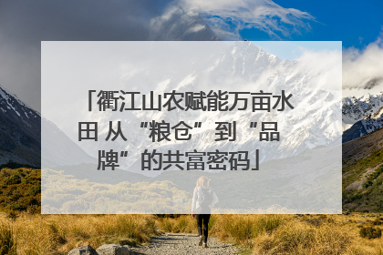 衢江山农赋能万亩水田 从“粮仓”到“品牌”的共富密码