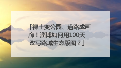 裸土变公园、道路成画廊！淄博如何用100天改写路域生态版图？