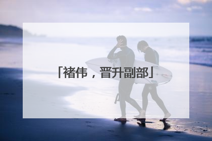 褚伟，晋升副部