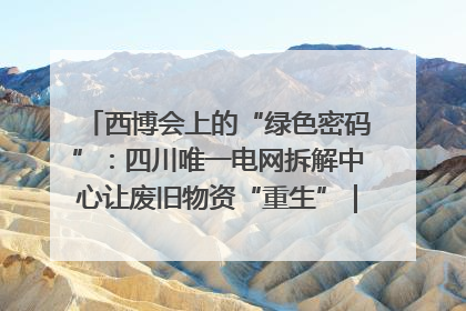 西博会上的“绿色密码”：四川唯一电网拆解中心让废旧物资“重生”｜西博寻“新”记