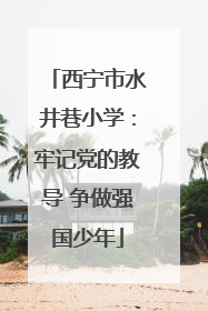 西宁市水井巷小学：牢记党的教导 争做强国少年
