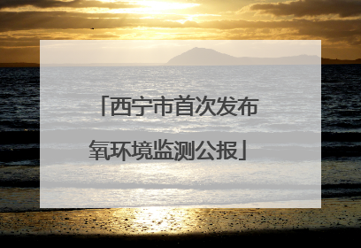 西宁市首次发布氧环境监测公报