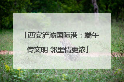 西安浐灞国际港：端午传文明 邻里情更浓