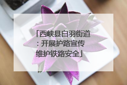 西峡县白羽街道：开展护路宣传 维护铁路安全