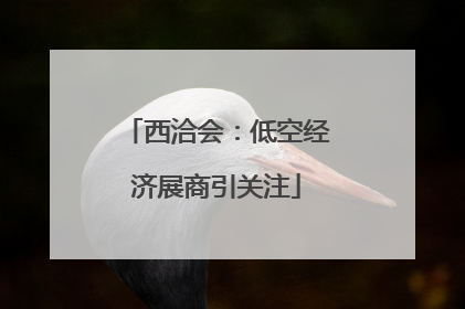 西洽会：低空经济展商引关注