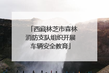 西藏林芝市森林消防支队组织开展车辆安全教育