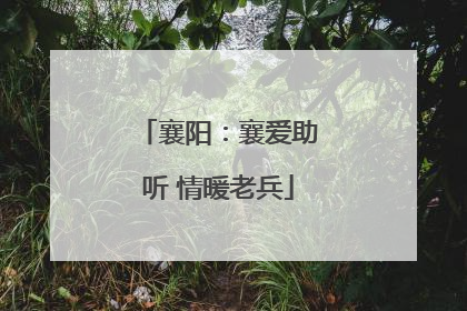 襄阳：襄爱助听 情暖老兵