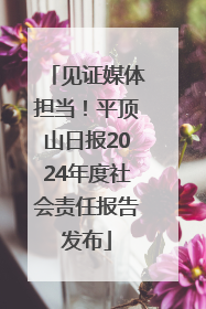 见证媒体担当！平顶山日报2024年度社会责任报告发布