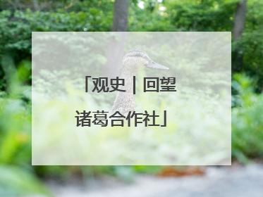 观史｜回望诸葛合作社