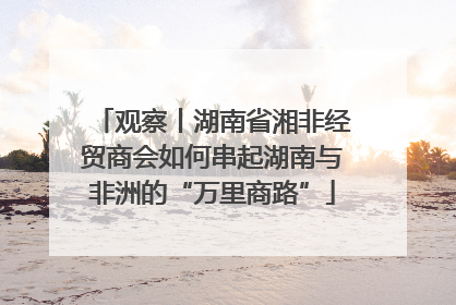 观察丨湖南省湘非经贸商会如何串起湖南与非洲的“万里商路”