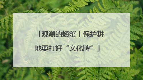 观潮的螃蟹丨保护耕地要打好“文化牌”