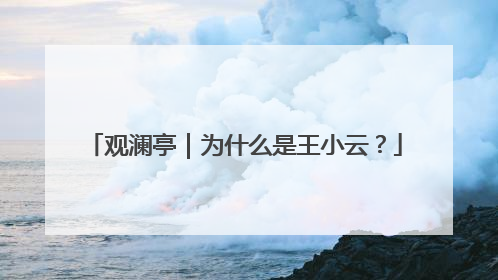 观澜亭｜为什么是王小云？