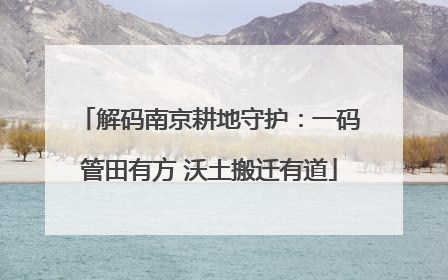 解码南京耕地守护：一码管田有方 沃土搬迁有道