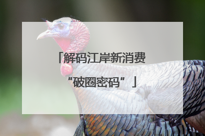 解码江岸新消费“破圈密码”