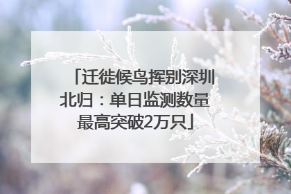 迁徙候鸟挥别深圳北归：单日监测数量最高突破2万只