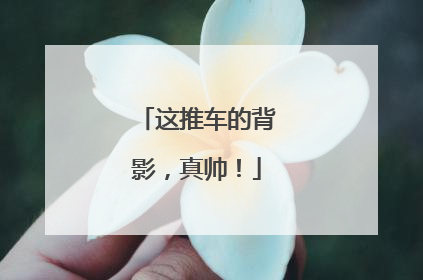 这推车的背影，真帅！