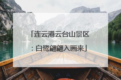 连云港云台山景区：白鹭翩翩入画来