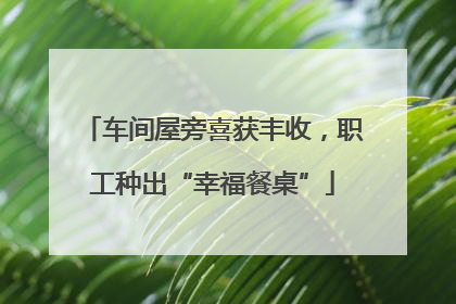 车间屋旁喜获丰收，职工种出“幸福餐桌”