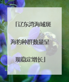 辽东湾海域斑海豹种群数量呈现稳定增长