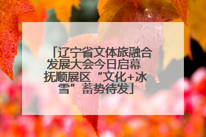 辽宁省文体旅融合发展大会今日启幕 抚顺展区“文化+冰雪”蓄势待发
