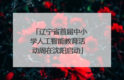 辽宁省首届中小学人工智能教育活动周在沈阳启动