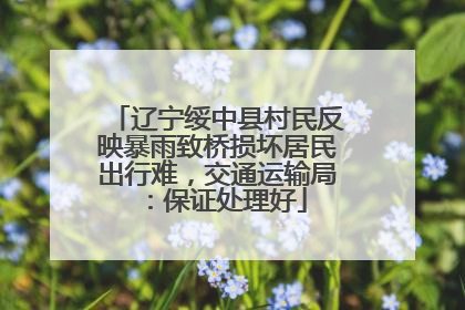 辽宁绥中县村民反映暴雨致桥损坏居民出行难，交通运输局：保证处理好