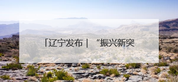 辽宁发布｜“振兴新突破 决胜勇争先”阜新以项目攻坚破解发展瓶颈 经济发展实现良好开局