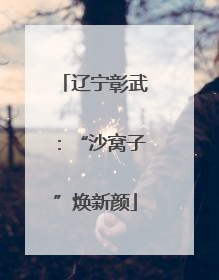 辽宁彰武：“沙窝子”焕新颜