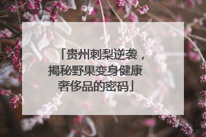 贵州刺梨逆袭，揭秘野果变身健康奢侈品的密码